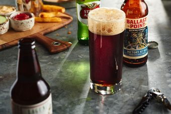 Hotel Courtyard By Marriott Tampa Oldsmar