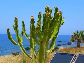 Astrofegia Beach Villa