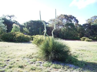Apartamentos Caves Road Chalets