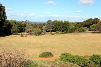 Hotel Ocean Vines Retreat