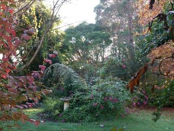 Canterbury Cottage Northcliffe