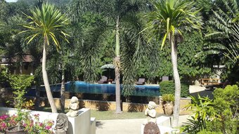 Hotel Paddy's Palms Resort