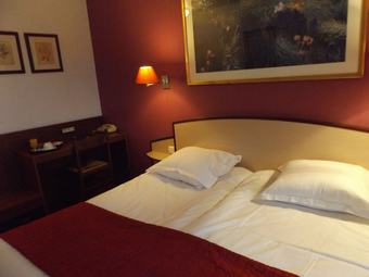 Hotel H�tel Le Vert Galant
