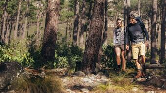 Hotel Royal Inn Rockville By Magnuson Worldwide