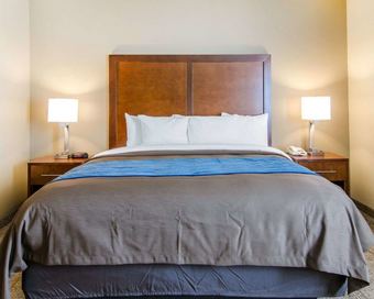 Hotel Comfort Inn & Suites Lynchburg Airport - University Area