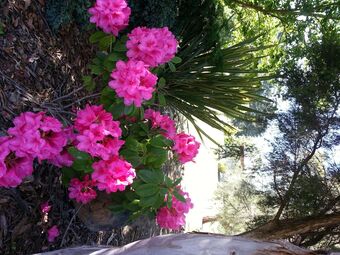 Melview Greens Serviced Apartments