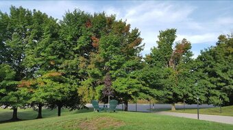 Motel Inn At The Alpine By Budget Host