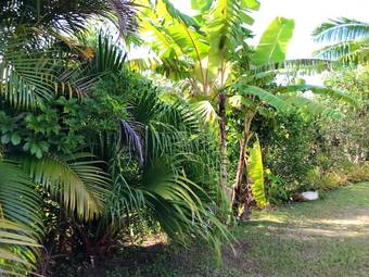 Bed & Breakfast The Tropical Villa