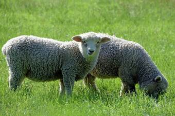 Bed & Breakfast Revive On Oakview Boutique Accommodation And Spa