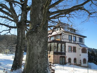 Apartamento Logis Du Haut-koenigsbourg