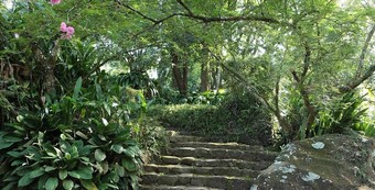 Hotel Glenross Plantation Villa