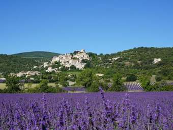 Bed & Breakfast La Buisse