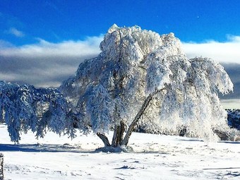 Eco Yourte Les Airelles