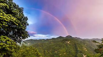 Hostal Wudangshan Tianle Hotel