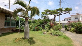 Hotel Tetris Guest House Kunisato