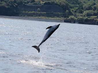 Hotel Tempuan People