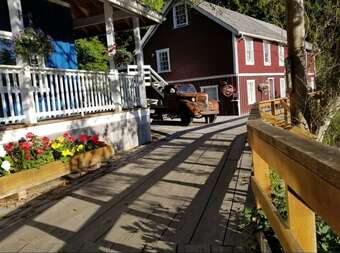 Motel Telegraph Cove Resort