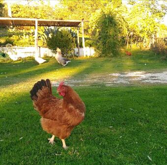 Agroturismo Agriturismo C'era UNA Volta