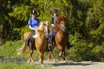 Hostal Kolarbyn Eco-lodge