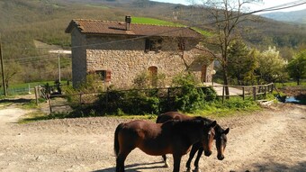 Agroturismo La Cartiera Dei Benandanti