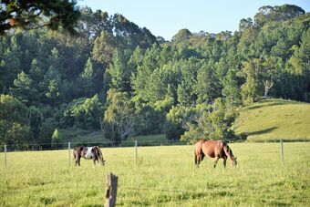 Mooyabil Farm Holidays