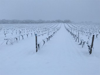 Agroturismo Casa Rural La Navarra