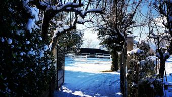 Agroturismo Agriturismo Villa Delle Acacie