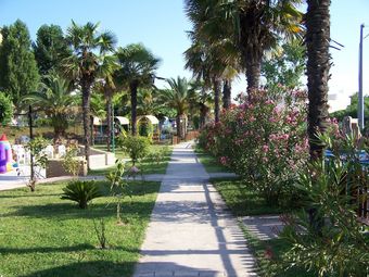 Villaggio Camping Costa D'argento