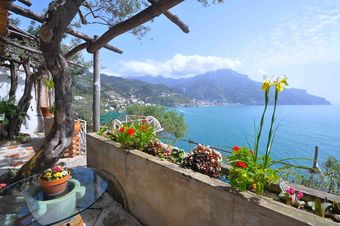 Villa Star Fish House