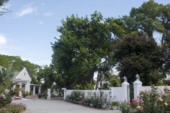 Hotel Green Olive Guesthouse