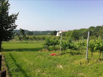 Agroturismo Agriturismo Cascina Roveri