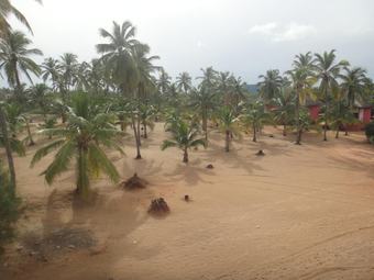 Hotel  De La Diaspora