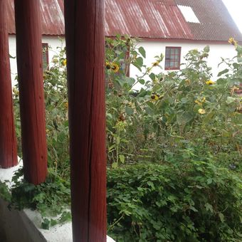 Pr�st�gaard Bed And Breakfast