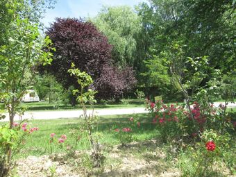 Camping La C�lestine