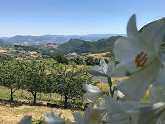 Agroturismo La Piana Dei Castagni