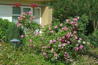 Hotel Rose-house Hiller�d Bed And Kitchen