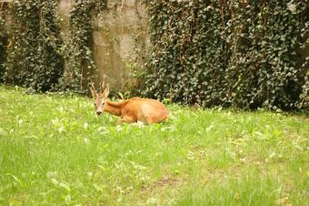 Hotel Locanda La Tagliolina