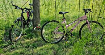 Agroturismo Cascina Moretta