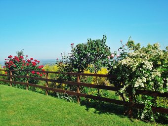 Agroturismo Agriturismo Montigliano