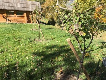 Bed & Breakfast Les Chambres D'orel