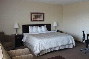 Hotel Best Western Plus Brampton