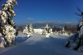 Bed & Breakfast The Abb� House Inn