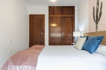 Apartamento Principe De Vergara IV