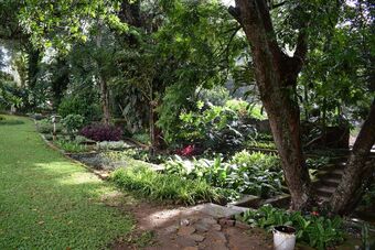 Hotel Micklefield Bungalow