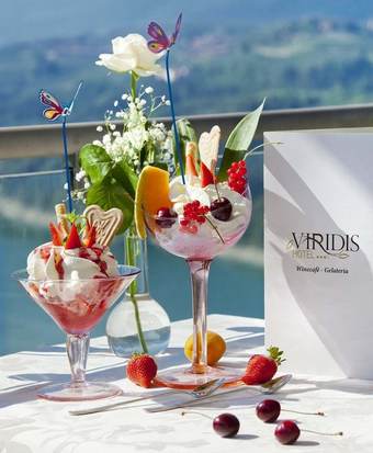Viridis Hotel