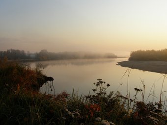 Hotel Artlife Zaimka