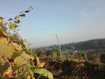 Agroturismo Agriturismo La Casetta