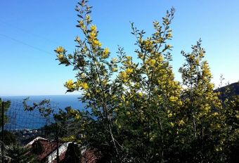 Bed & Breakfast Antemare