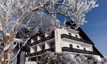 Hotel & Ferienwohnungen Seeschl��chen