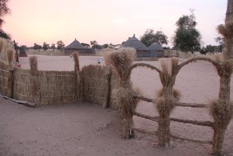 Hotel Ecolodge De Koba